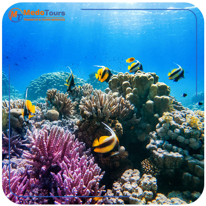 1 Day Dive Package